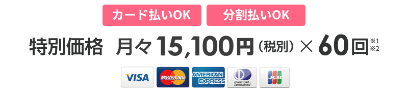 月々15,100円（税別）